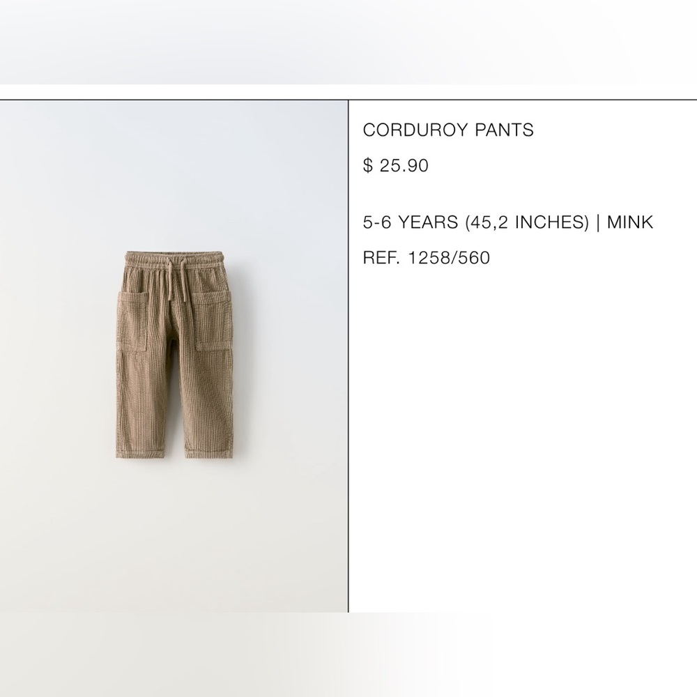 NWOT Toddler Boys Corduroy Pants